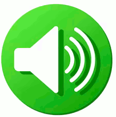 Voice